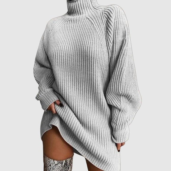 Karen Moree | Women's Turtleneck Sweater Dress, Winter