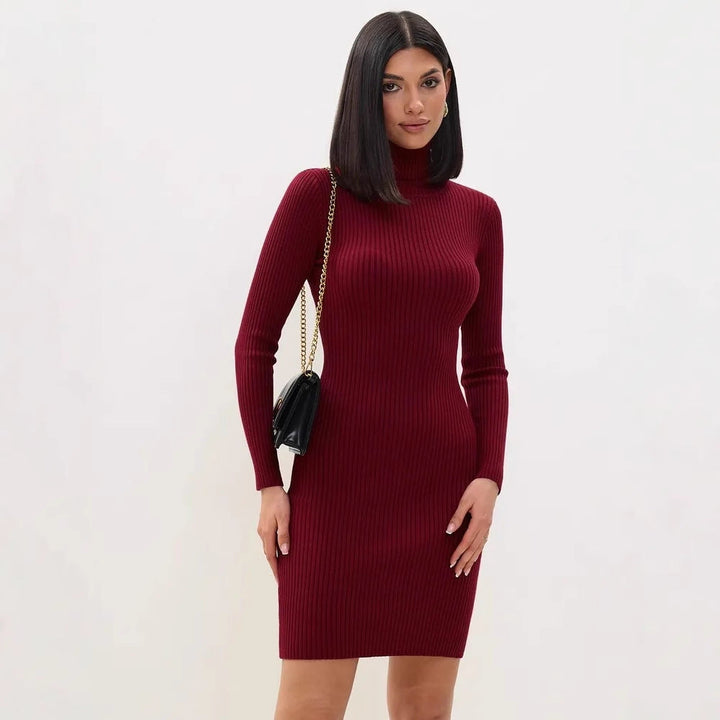 Karen Moree | Women's Ribbed Knit Turtleneck Sweater Dress