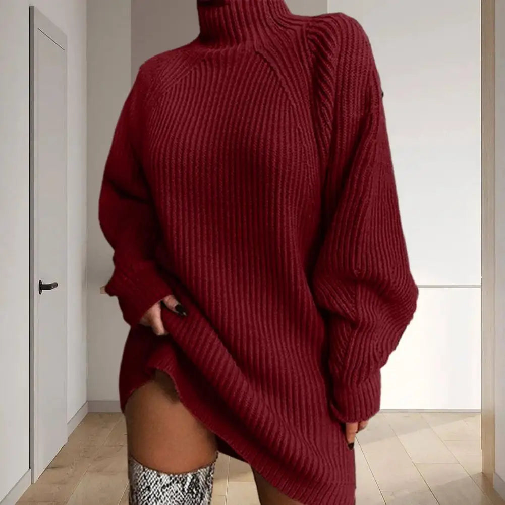 Karen Moree | Women's Turtleneck Sweater Dress, Winter