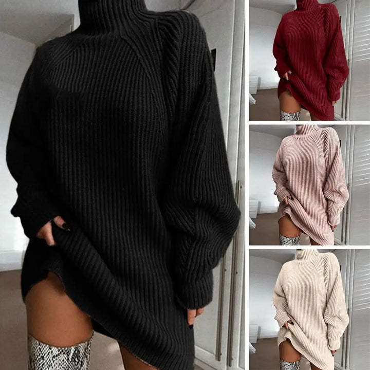 Karen Moree | Women's Turtleneck Sweater Dress, Winter