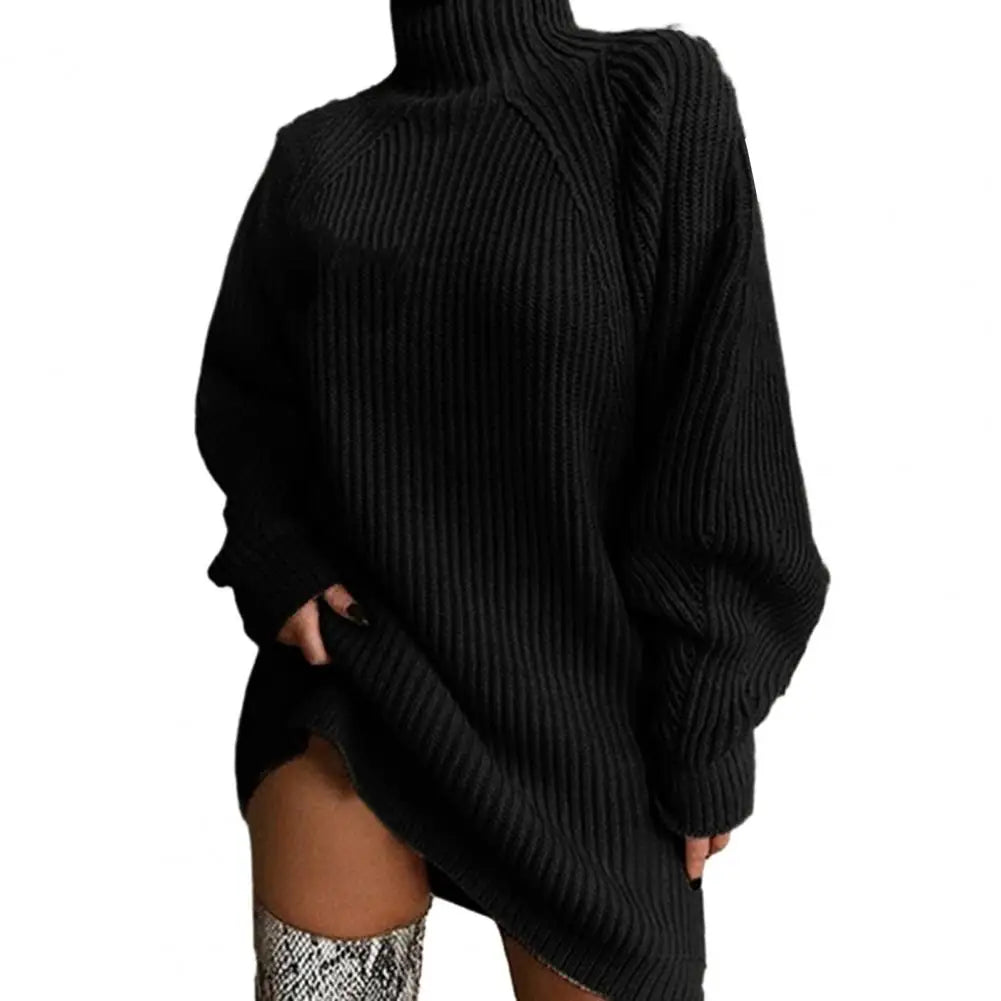 Karen Moree | Women's Turtleneck Sweater Dress, Winter