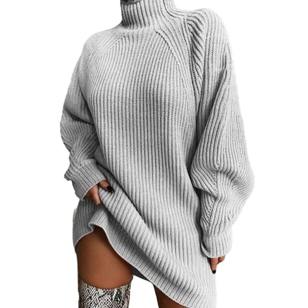 Karen Moree | Women's Turtleneck Sweater Dress, Winter