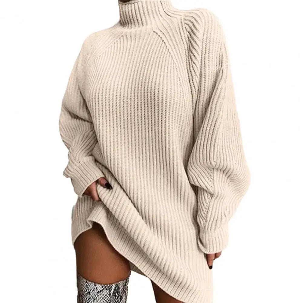 Karen Moree | Women's Turtleneck Sweater Dress, Winter