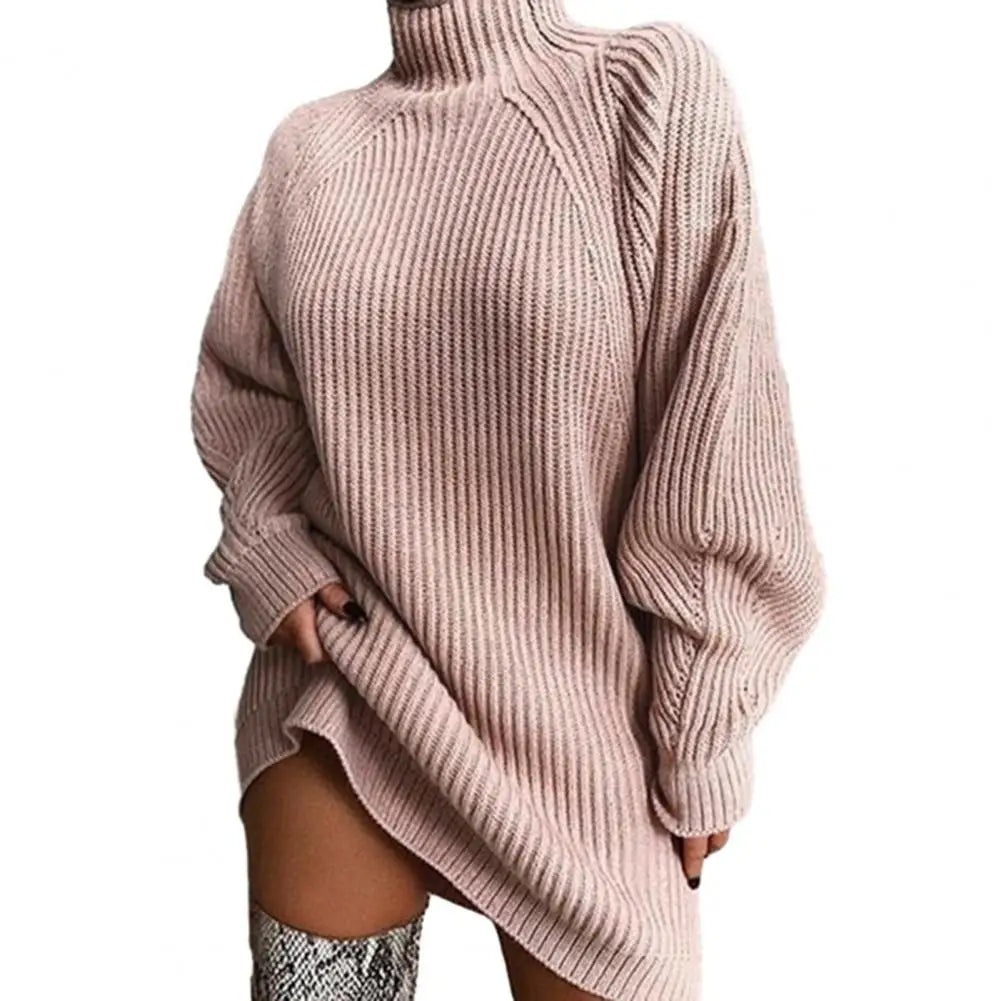 Karen Moree | Women's Turtleneck Sweater Dress, Winter