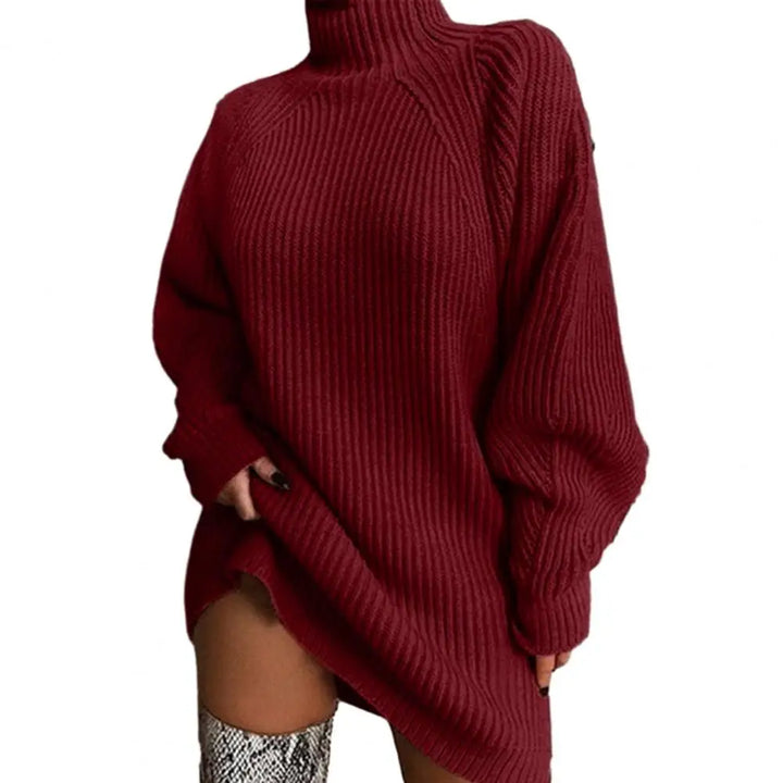 Karen Moree | Women's Turtleneck Sweater Dress, Winter